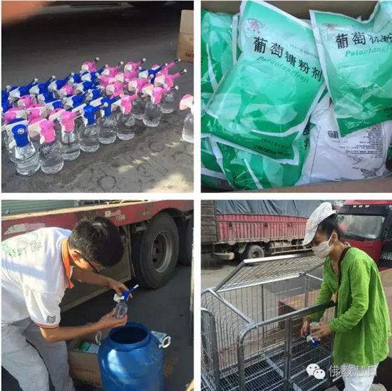 6月21日一清早,义工们现场组装完狗笼,细心地为每只狗笼安装饮水器
